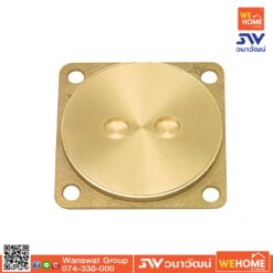 ฝาส้วมทองเหลือง V0060 6 นิ้ว VEGARR