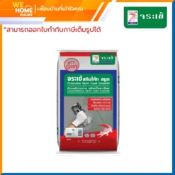ซีเมนต์แต่งผิวบาง ชนิดเนื้อละเอียด จระเข้ รุ่น สกิมโค้ท สมูท  20 กก. สีเทา