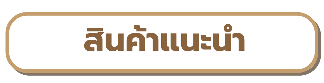 เมนูสินค้า