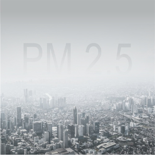 ฝุ่น Pm2.5