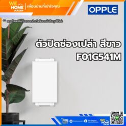 ตัวปิดช่องเปล่า สีขาว F01G541M Opple