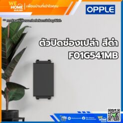 ตัวปิดช่องเปล่า สีดำ F01G541MB Opple