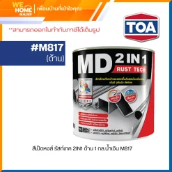 สี เป็ดหงส์ รัสท์เทค 2IN1 ด้าน 1 กล.น้ำเงิน M817